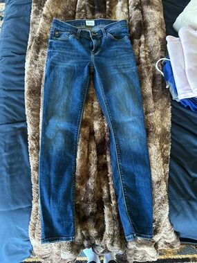 Hudson Jeans Women's Blue Skinny Stretch Jeans